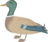 Regular Duck Digital Art Clip Art